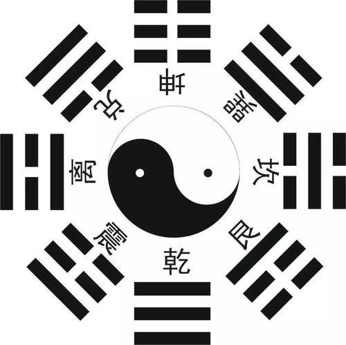 生命八卦.mp3,探索生命八卦音频内容